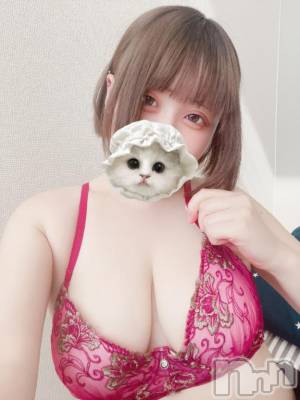 新潟デリヘル 奥様特急 新潟店(オクサマトッキュウニイガタテン) つゆ(19)の5月30日写メブログ「まだまだ夜はこれから～‼️」