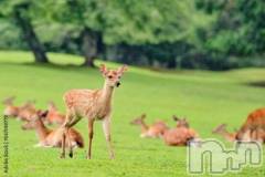 新潟人妻デリヘル熟女の風俗 最終章(ジュクジョノフウゾクサイシュウショウ) かおん(35)の8月10日写メブログ「【7月9日のお礼】」