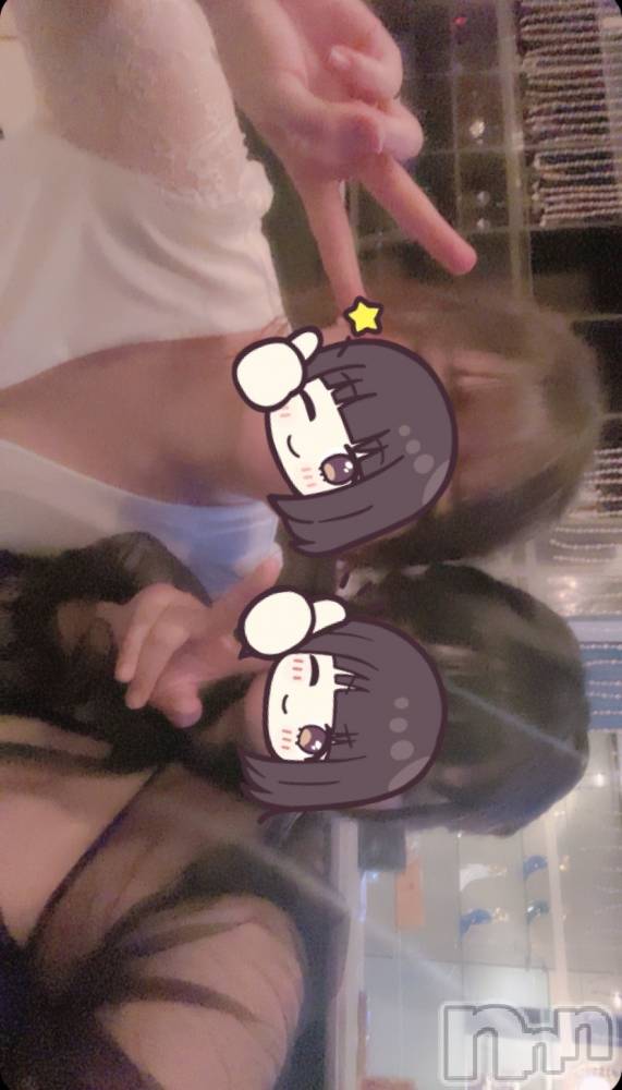 ܱХ顦֥ ץ ( ץ ޥĥ) ߤ816̥֥816 2225ʬΥ֥