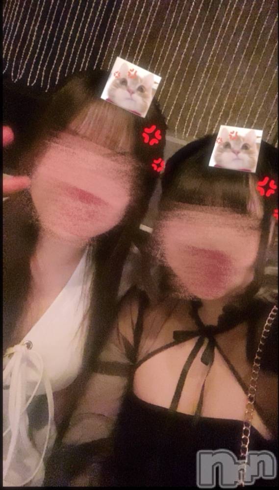 ܱХ顦֥ ץ ( ץ ޥĥ) ꤢ96̥֥96 2213ʬΥ֥