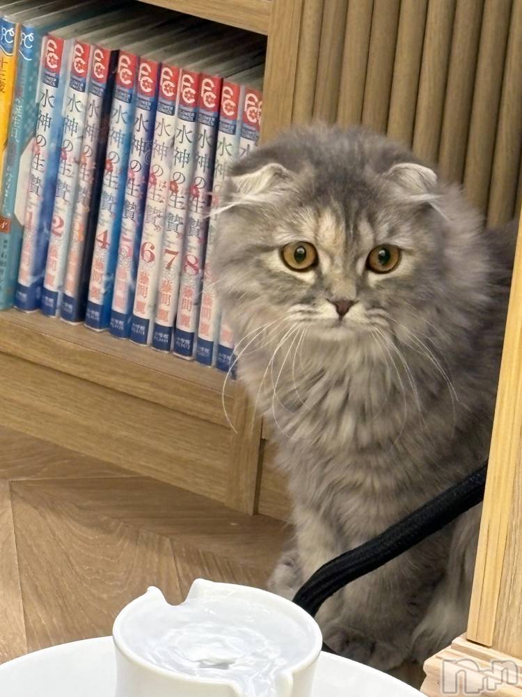 ܱХ顦֥ ץ ( ץ ޥĥ) ߤ912̥֥💕💖✨