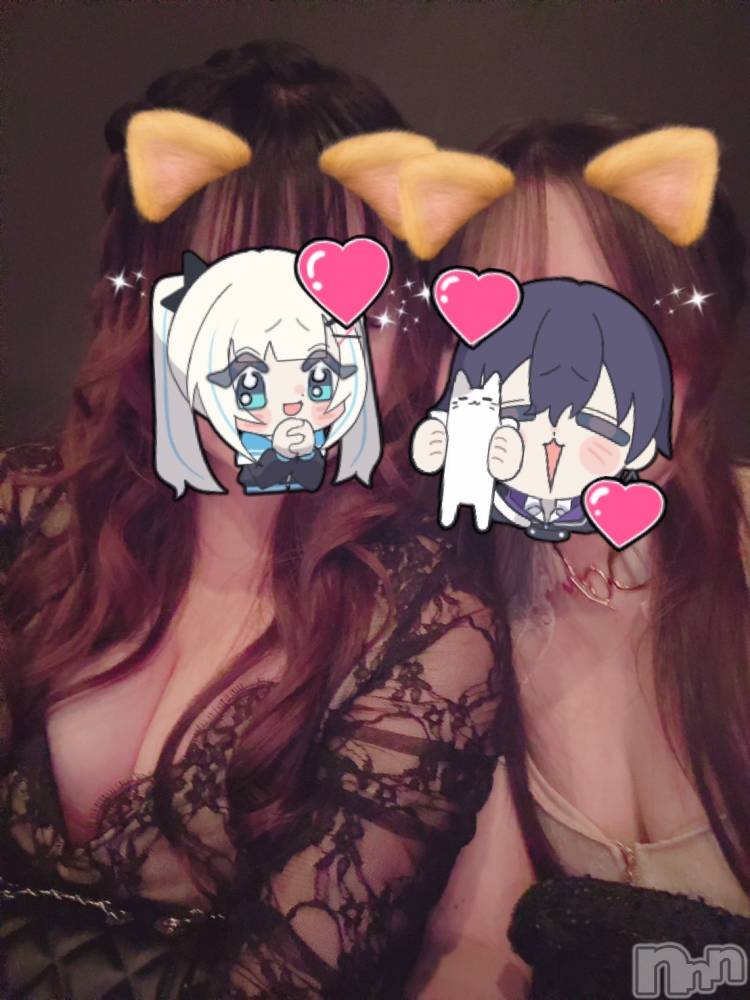 ܱХ顦֥ ץ ( ץ ޥĥ) ʤʤ916̥֥916 2049ʬΥ֥