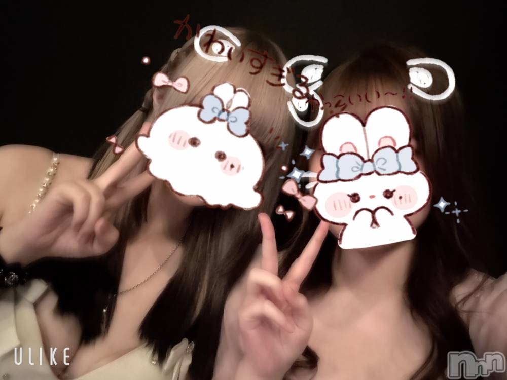 ܱХ顦֥ ץ ( ץ ޥĥ) ߤ1010̥֥1010 2039ʬΥ֥