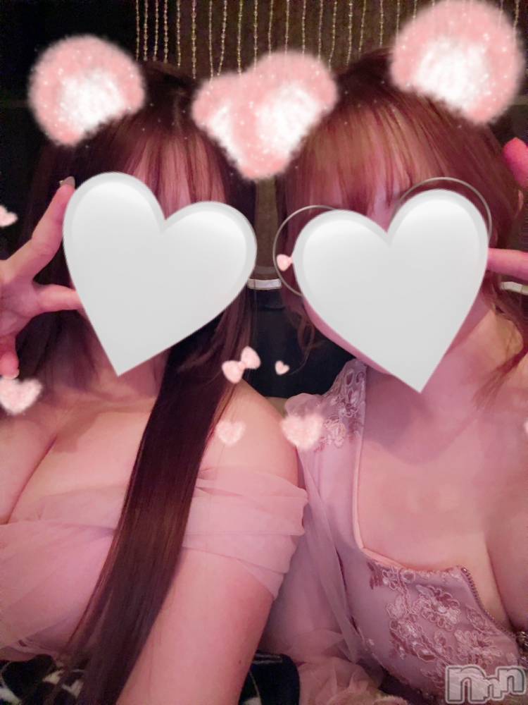 ܱХ顦֥ ץ ( ץ ޥĥ) ߤ1128̥֥1128 2103ʬΥ֥