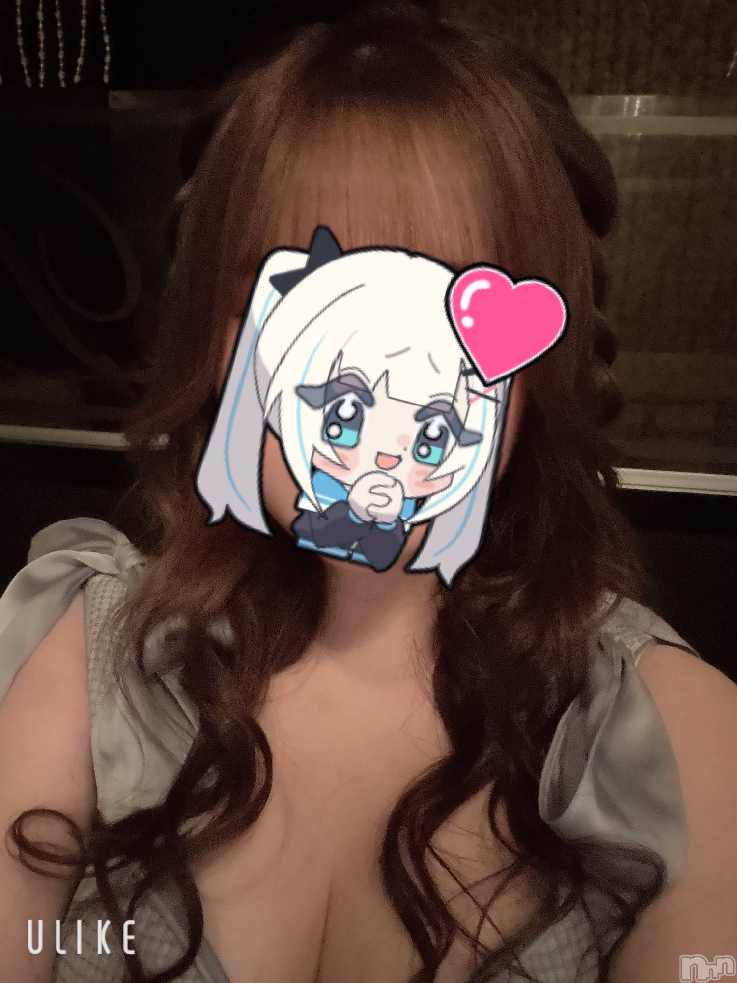 ܱХ顦֥ ץ ( ץ ޥĥ) 2025ǯ112̥֥112 0000ʬΥ֥