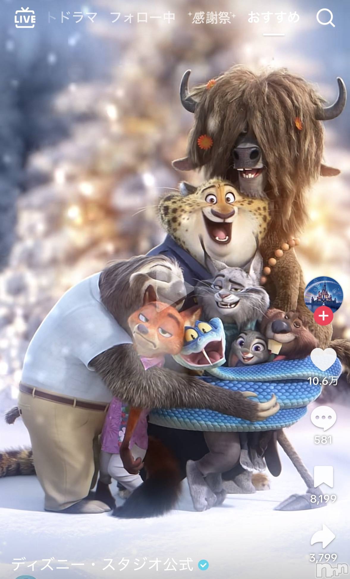 ���ܱ�������Х��顦����֥���� �ץ���� ����(����� �ץ���� �ޥĥ��) ��2025ǯ12��29���̥�֥�����12��29�� 22��05ʬ�Υ֥�����