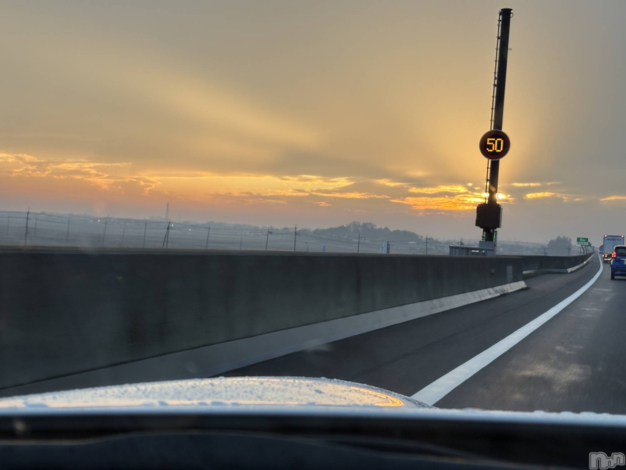 ���ܱ�������Х��顦����֥���� �ץ���� ����(����� �ץ���� �ޥĥ��) ��2025ǯ12��30���̥�֥�����2025/12/30��