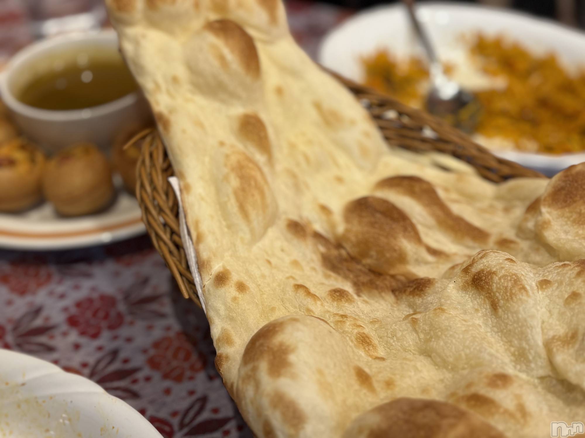 ���ܱ�������Х��顦����֥���� �ץ���� ����(����� �ץ���� �ޥĥ��) ��2026ǯ1��16���̥�֥�����1��16�� 22��25ʬ�Υ֥�����