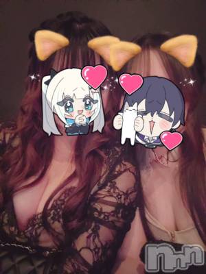 ܱХ顦֥ ץ ( ץ ޥĥ) ߤ916̥֥916 2049ʬΥ֥