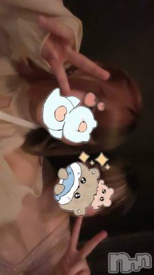 ܱХ顦֥ ץ ( ץ ޥĥ) ߤ926̥֥926 2120ʬΥ֥