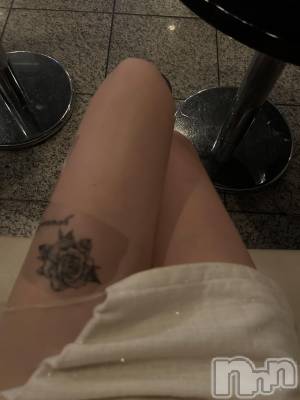 ܱХ顦֥ ץ ( ץ ޥĥ) ߤ612̥֥612 2232ʬΥ֥
