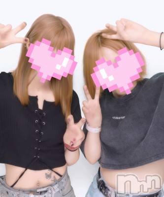 ܱХ顦֥ ץ ( ץ ޥĥ) ߤ75̥֥75 2129ʬΥ֥