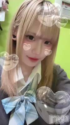 ���Ҥ����֤�Ǥ�🐱