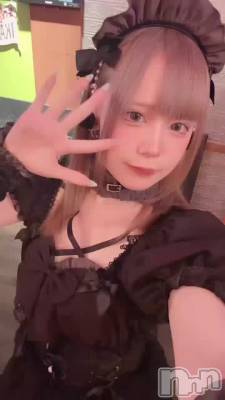 �����ǥӥ塼�ġ�✨️