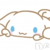ᤢʥץBarʥ