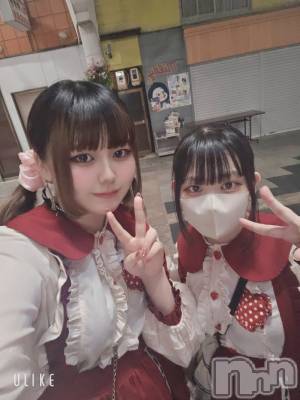 Ʋʥå륺С@إ餸ʤ BR(إ饸ʥ) ⤨620̥֥2ͤϥץꥭ