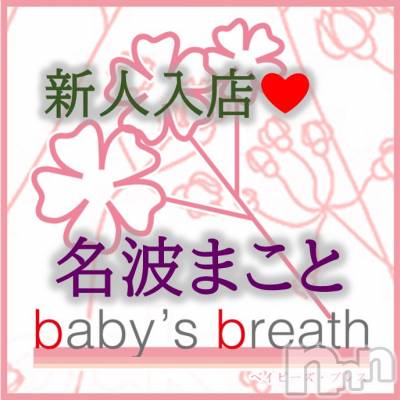 㡦ȯĥꥢ󥺥 baby's breath(٥ӡ ֥쥹) ̾Ȥޤȡڿۤ͡β(1)