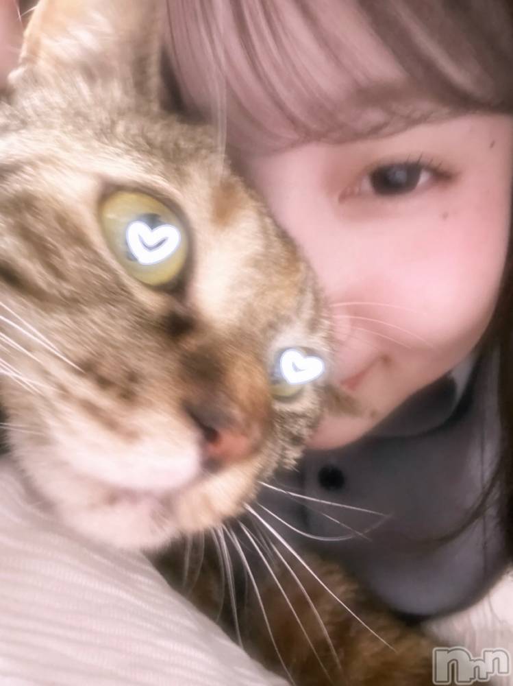 ʥå륺СLounge Anshu(饦󥸥󥷥) 73̥֥7ж😽