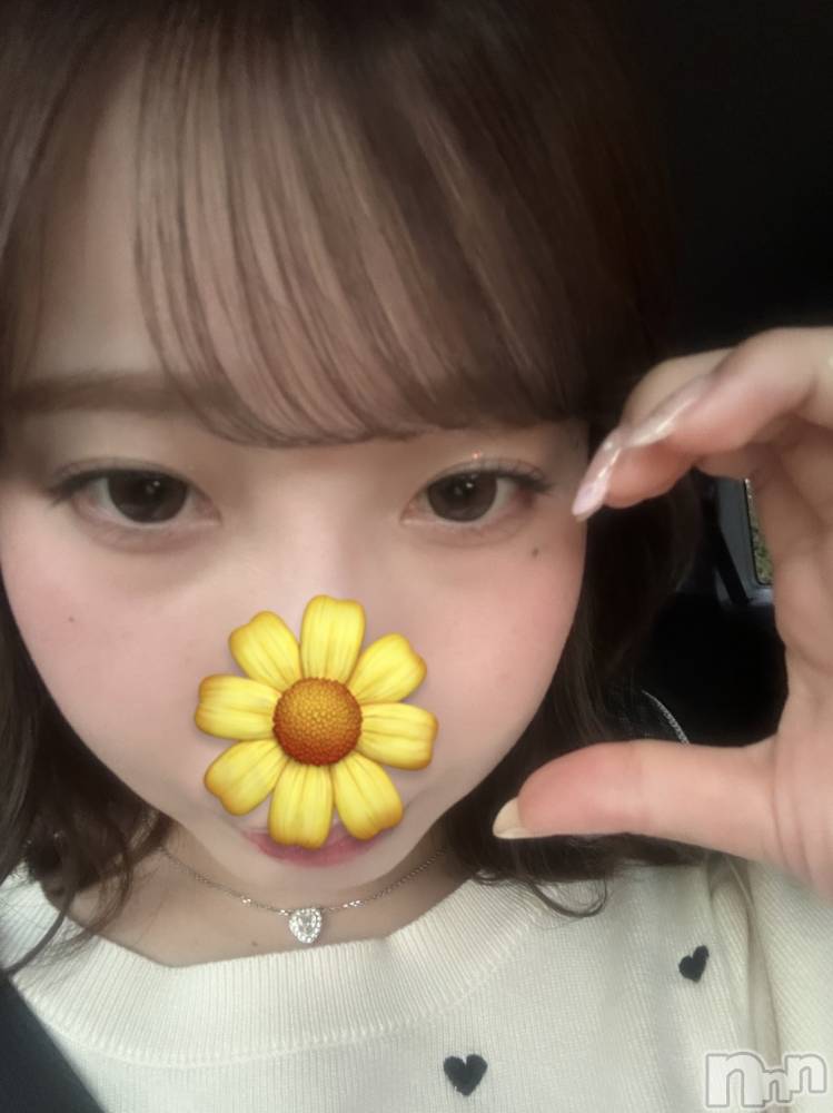 ʥå륺СLounge Anshu(饦󥸥󥷥) 81ֽ̥֥ж❣️