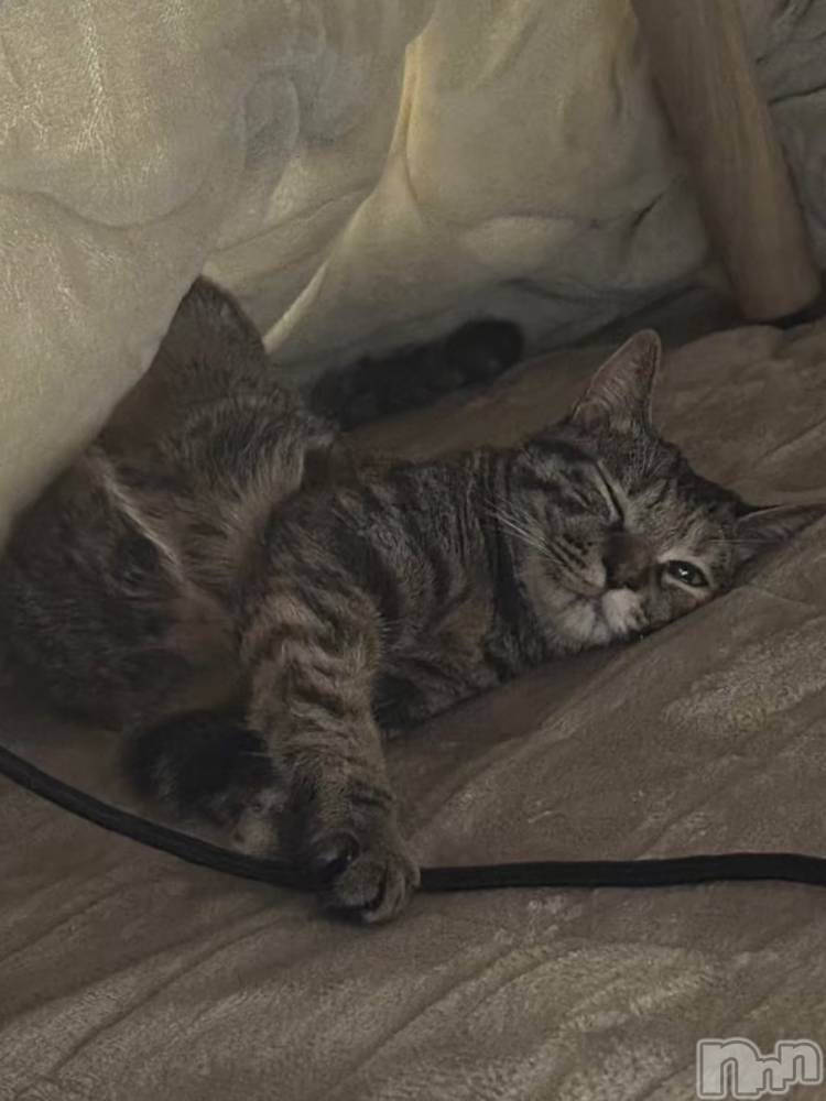 ����������ʥå��������륺�С�Lounge Anshu(�饦�󥸥��󥷥�) ������12��30���̥�֥����ֻŻ�Ǽ��Ǥ�😌✨️��