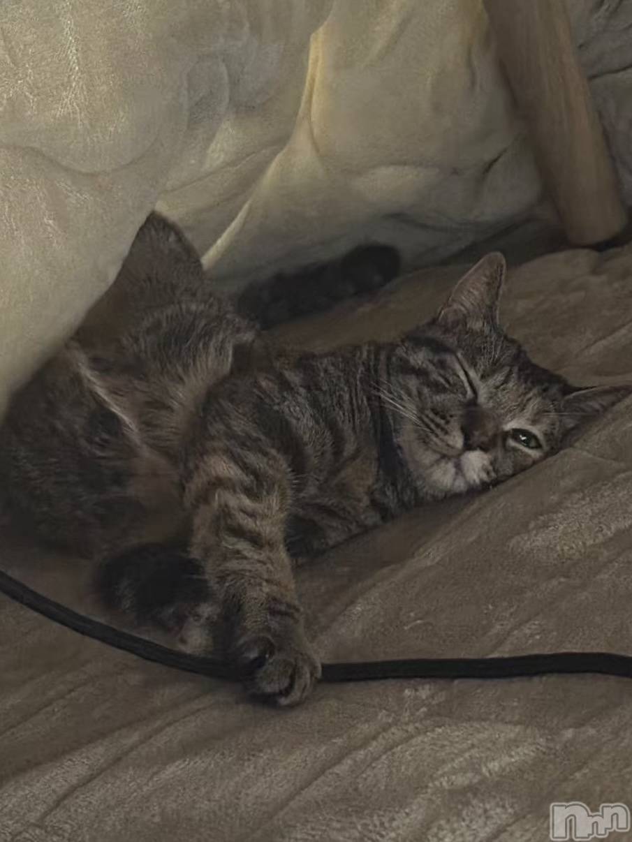 ����������ʥå��������륺�С�Lounge Anshu(�饦�󥸥��󥷥�) ��2025ǯ12��30���̥�֥����ֻŻ�Ǽ��Ǥ�😌✨️��