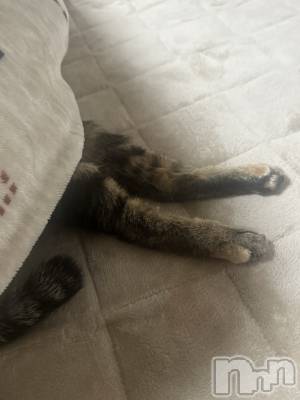 ����������ʥå��������륺�С�Lounge Anshu(�饦�󥸥��󥷥�) �����(20)��11��27���̥�֥�����Ƭ�����ƿ���������