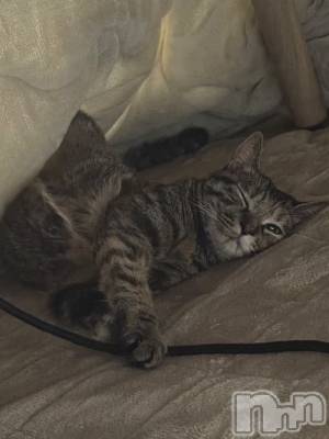 ����������ʥå��������륺�С�Lounge Anshu(�饦�󥸥��󥷥�) �����(20)��12��30���̥�֥����ֻŻ�Ǽ��Ǥ�😌✨️��