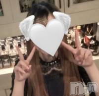  ʥå륺С աɥСӥ٥˥塼ҡ