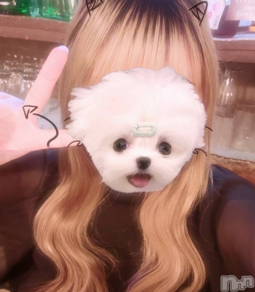 ʥå륺СաɥСӥ٥˥塼 ꤹ618̥֥֤ȤƤϥåԡꤹˤ󡪡