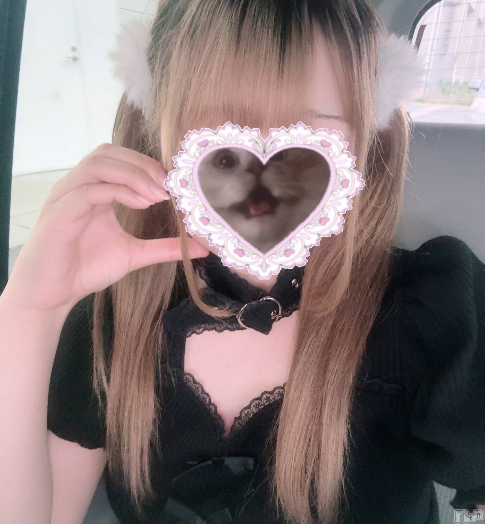 ʥå륺СաɥСӥ٥˥塼 2025ǯ68̥֥֥ѡɥ뤢ꤹ̳^.  ̫ .^ ̳♡⃛