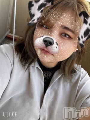 長岡デリヘル 奥様特急 長岡店(オクサマトッキュウナガオカテン) きのみ(24)の6月28日写メブログ「しゅっ！」