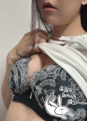本日、最終