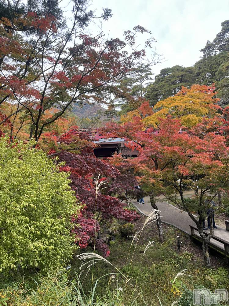 ʥå륺С륺С ӥ٥˥塼(륺Сӥ٥˥塼) ʤ1117̥֥🍁