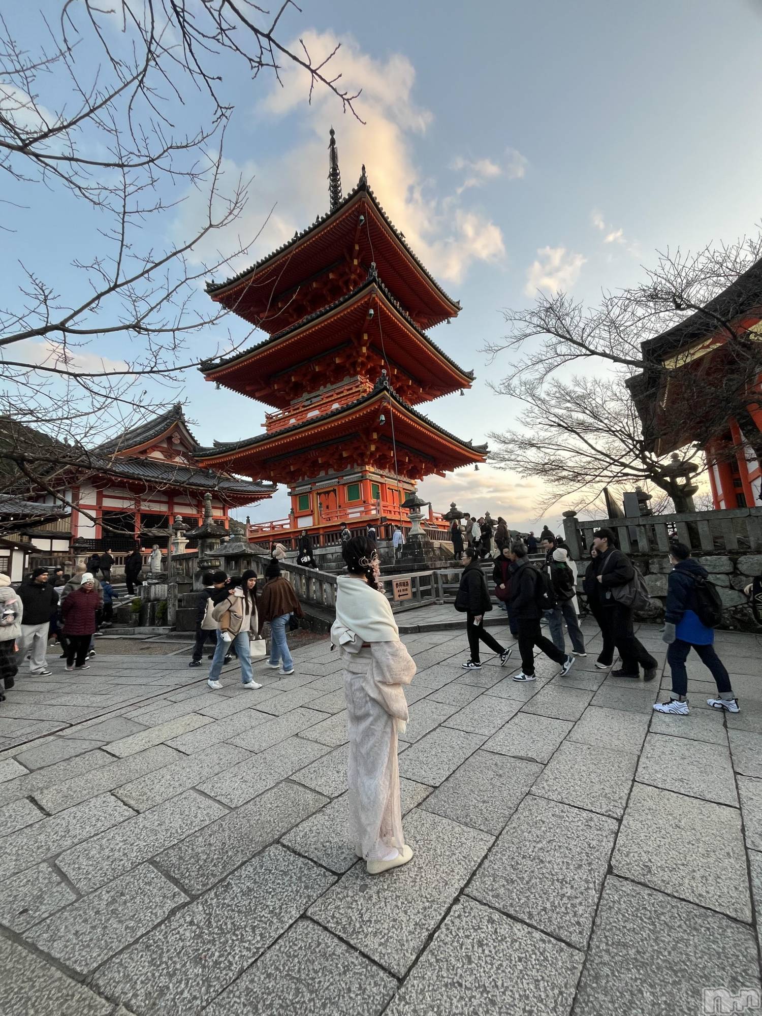 ����������ʥå��������륺�С������륺�С� �ӥ���٥˥塼(�����륺�С��ӥ���٥˥塼) ��2026ǯ1��20���̥�֥����ֵ���ι�ԹԤ��ޤ�������