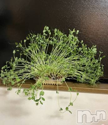 ʥå륺С륺С ӥ٥˥塼(륺Сӥ٥˥塼) ʤ(21)1118ֲ̥֥ڱ