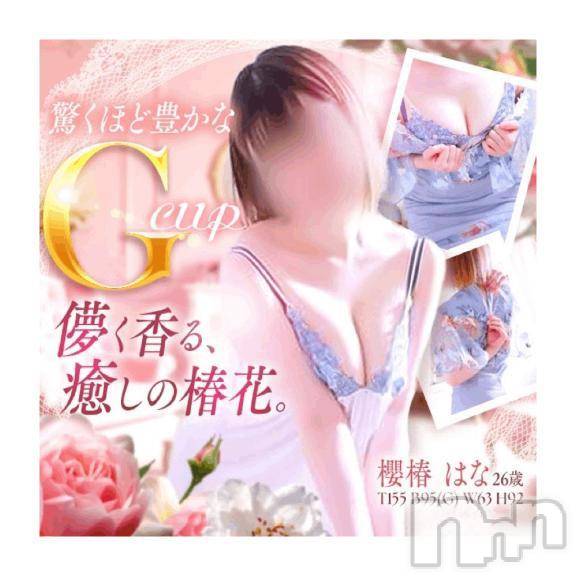 新潟人妻デリヘル恋ミラージュ新潟店(コイミラージュニイガタテン)櫻椿 はな (26)の2025年6月19日写メブログ「♡はじめまして♡」