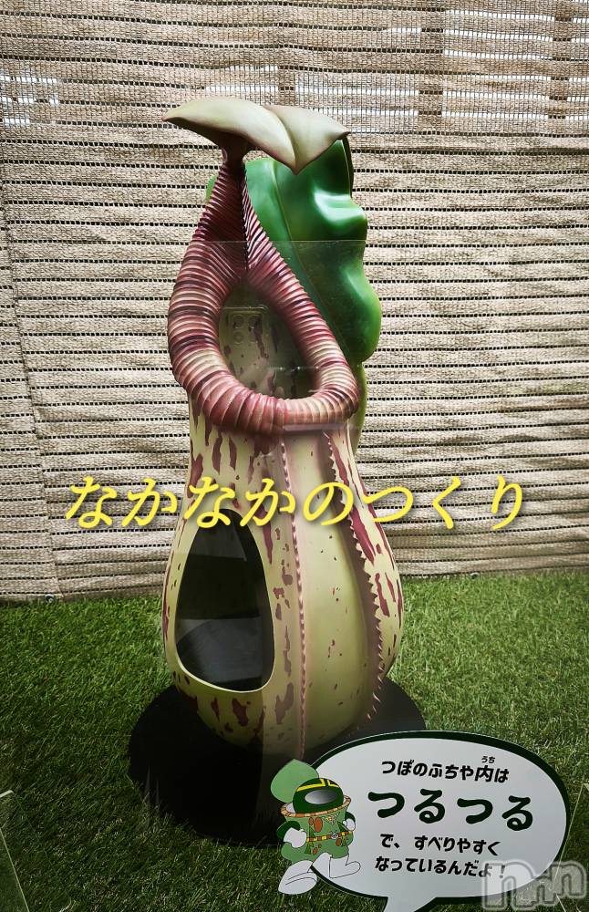 三条ぽっちゃり新潟三条燕ちゃんこ(ニイガタサンジョウツバメチャンコ) つばき(44)の8月2日写メブログ「イケナイコトカイ？」
