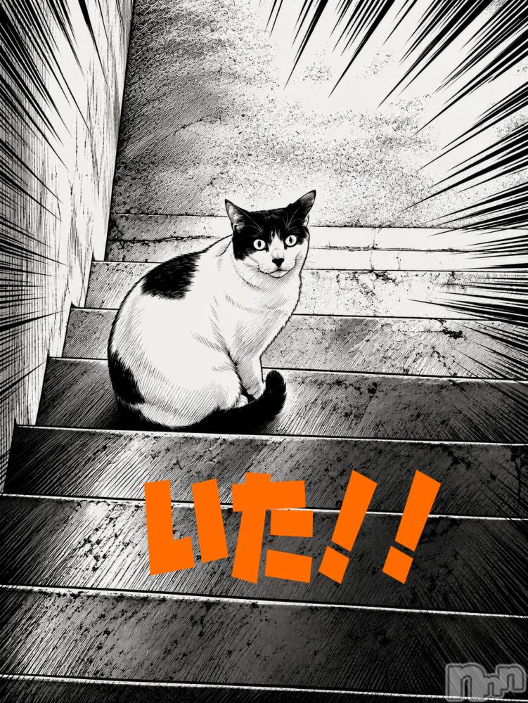三条デリヘル新潟三条燕ちゃんこ(ニイガタサンジョウツバメチャンコ) つばき(44)の9月10日写メブログ「目指すは集会所。」