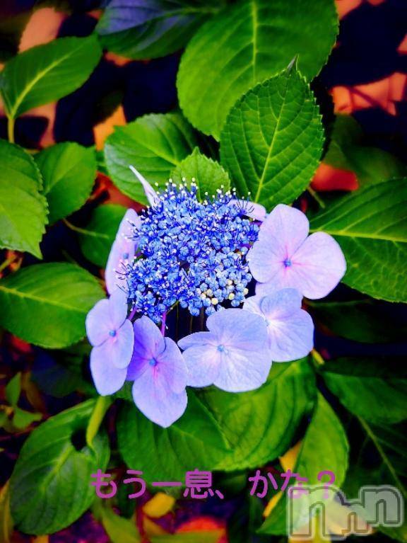 三条デリヘル新潟三条燕ちゃんこ(ニイガタサンジョウツバメチャンコ) つばき(44)の6月20日写メブログ「もうひと息っ。」