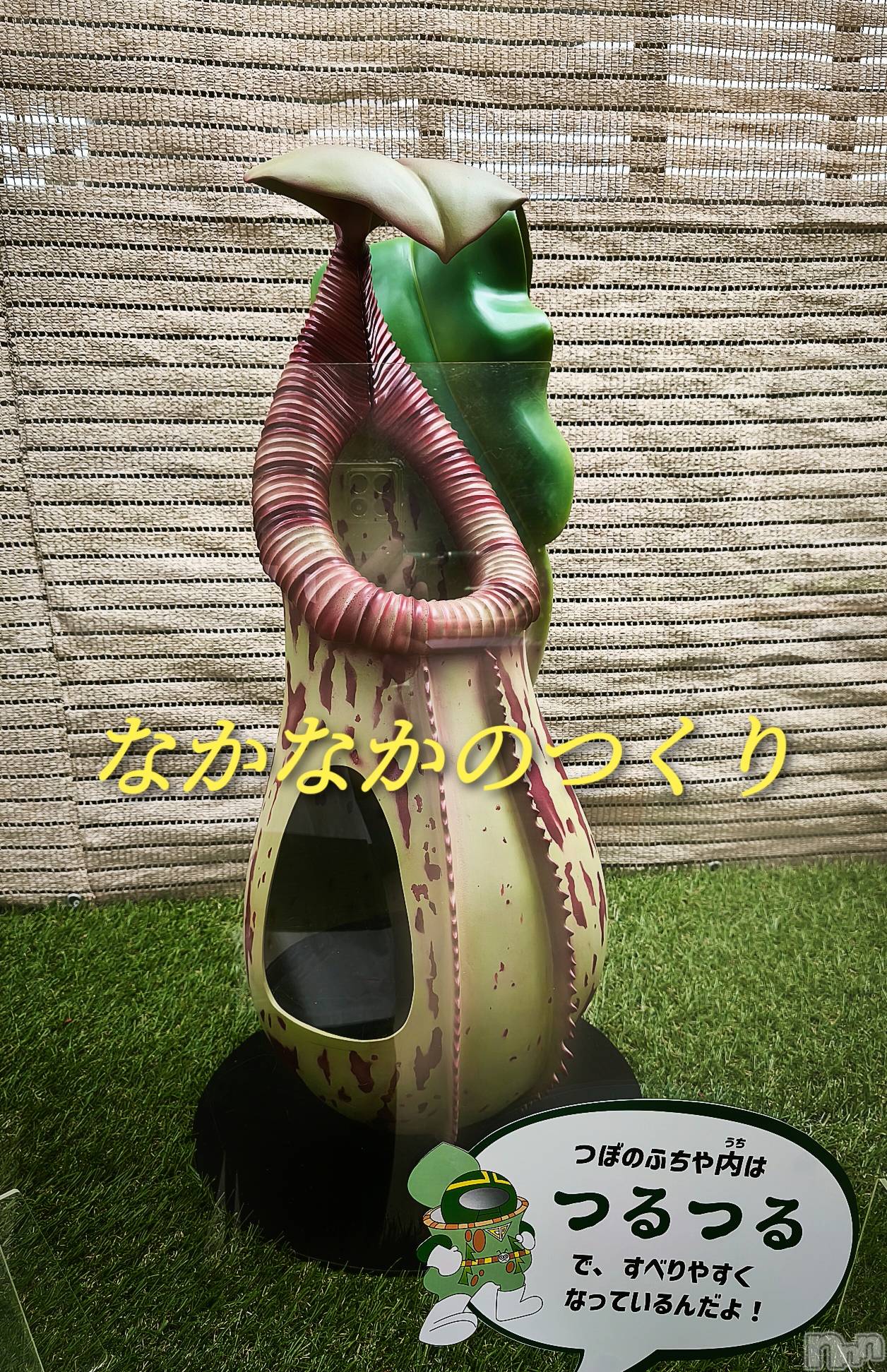 三条デリヘル新潟三条燕ちゃんこ(ニイガタサンジョウツバメチャンコ)つばき(44)の2025年8月2日写メブログ「イケナイコトカイ？」