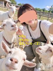三条デリヘル新潟三条燕ちゃんこ(ニイガタサンジョウツバメチャンコ) つばき(44)の9月7日写メブログ「ナシナシナーシ🍐(笑)」