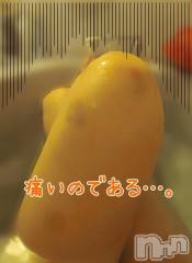 三条デリヘル新潟三条燕ちゃんこ(ニイガタサンジョウツバメチャンコ) つばき(44)の1月27日写メブログ「痛ててば…」