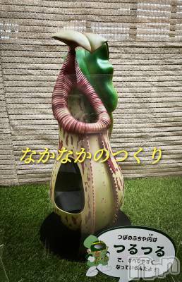 三条デリヘル 新潟三条燕ちゃんこ(ニイガタサンジョウツバメチャンコ) つばき(44)の8月2日写メブログ「イケナイコトカイ？」