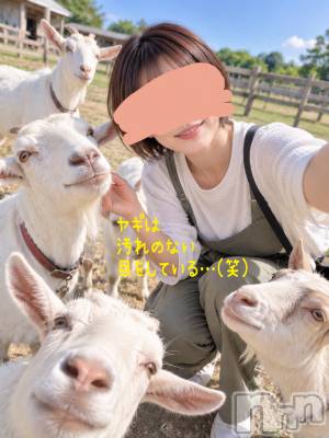 三条デリヘル 新潟三条燕ちゃんこ(ニイガタサンジョウツバメチャンコ) つばき(44)の9月7日写メブログ「ナシナシナーシ🍐(笑)」
