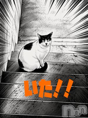 三条デリヘル 新潟三条燕ちゃんこ(ニイガタサンジョウツバメチャンコ) つばき(44)の9月10日写メブログ「目指すは集会所。」