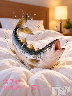 三条デリヘル 新潟三条燕ちゃんこ(ニイガタサンジョウツバメチャンコ) つばき(44)の9月12日写メブログ「これはイメージです。」