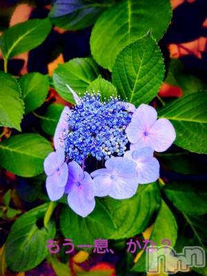 三条デリヘル 新潟三条燕ちゃんこ(ニイガタサンジョウツバメチャンコ) つばき(44)の6月20日写メブログ「もうひと息っ。」