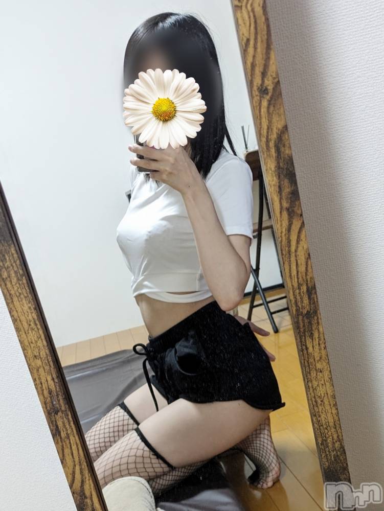㡦ȯĥꥢ󥺥AMBERС(С) ǵߤ626ֲ̥֥ޤǤʤΡ🩷