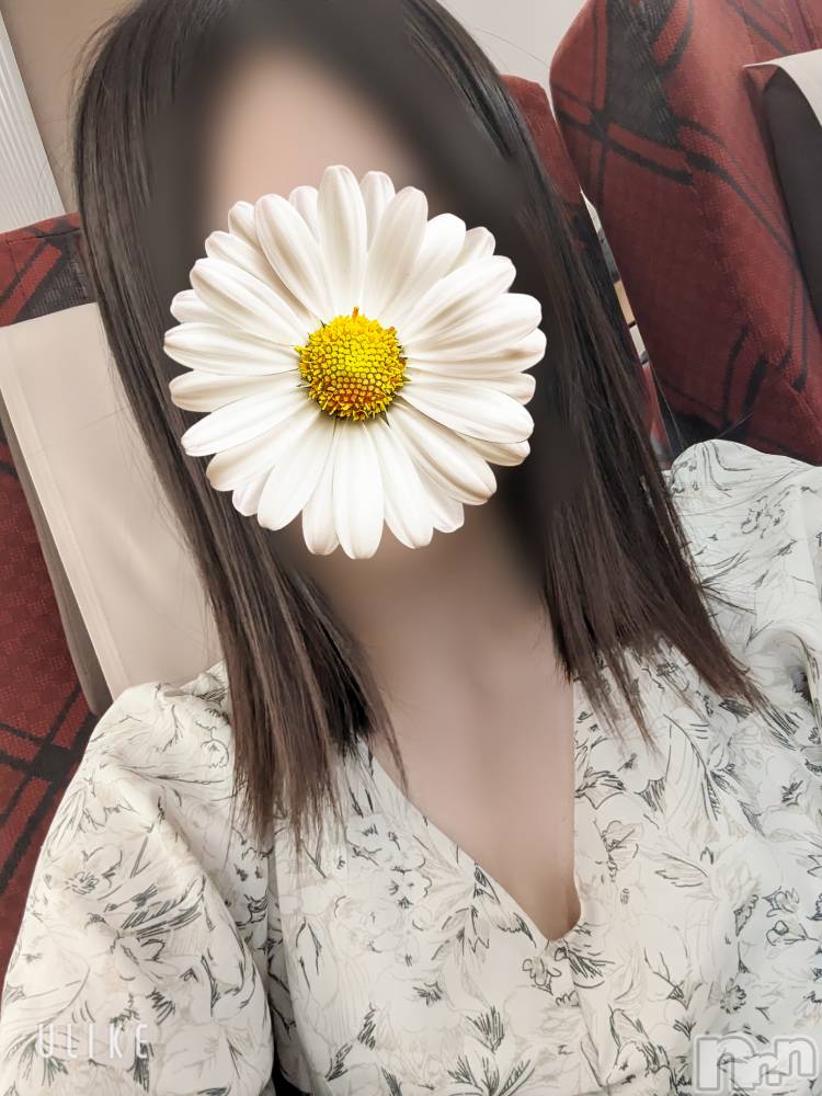 㡦ȯĥꥢ󥺥AMBERС(С) ǵߤ71̥֥֤ꤤ🥹🙏