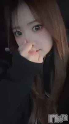 ���ܤ��褦����~😹